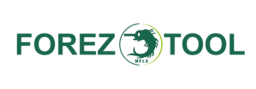 логотип Foreztool