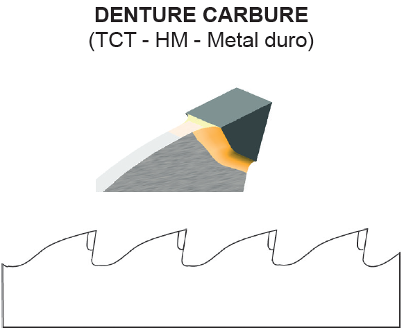 Denture carbure