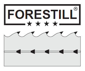 Denture alliage cobalt Forestell