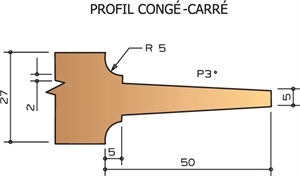 Porte-outils plate bande congé + carré a plaquettes