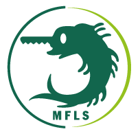 Logo forezienne mfls