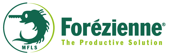 Logo Forézienne MFLS