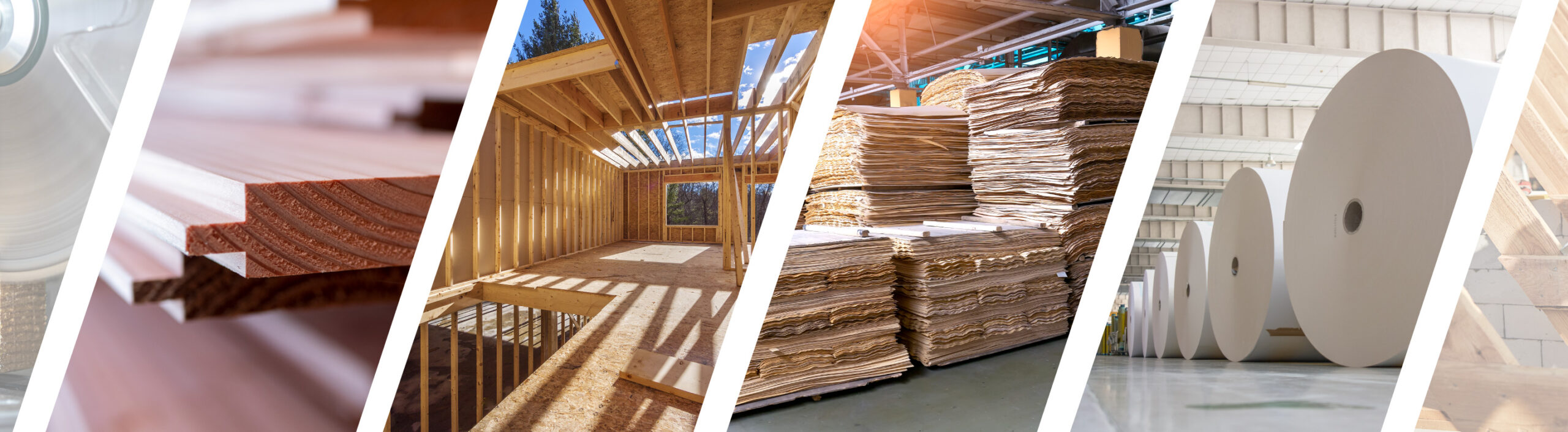 Wood processing stages, from raw materials to finished products