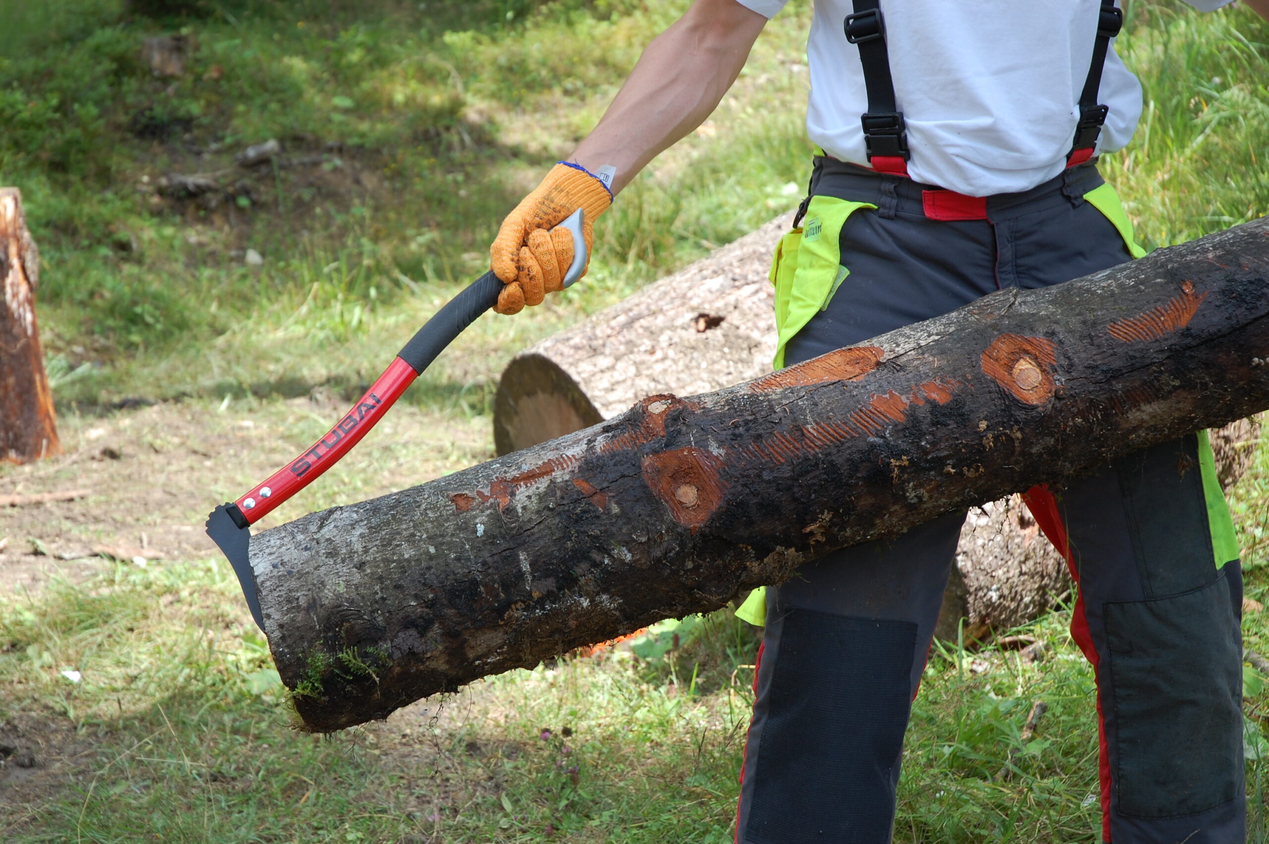Man in safety gear handling a tree trunk using a Stubai lifting hook in the middle of a forest.