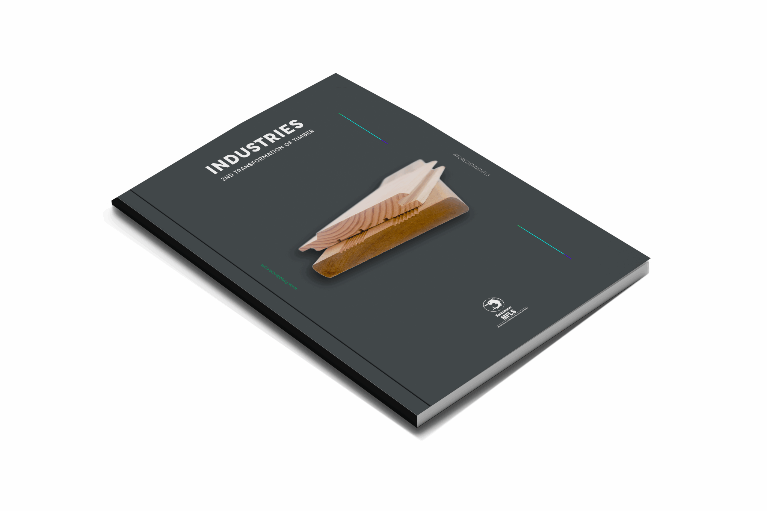 Forézienne MFLS trade catalogue dedicated to secondary wood processing, illustrated by a moulding profile on the cover.