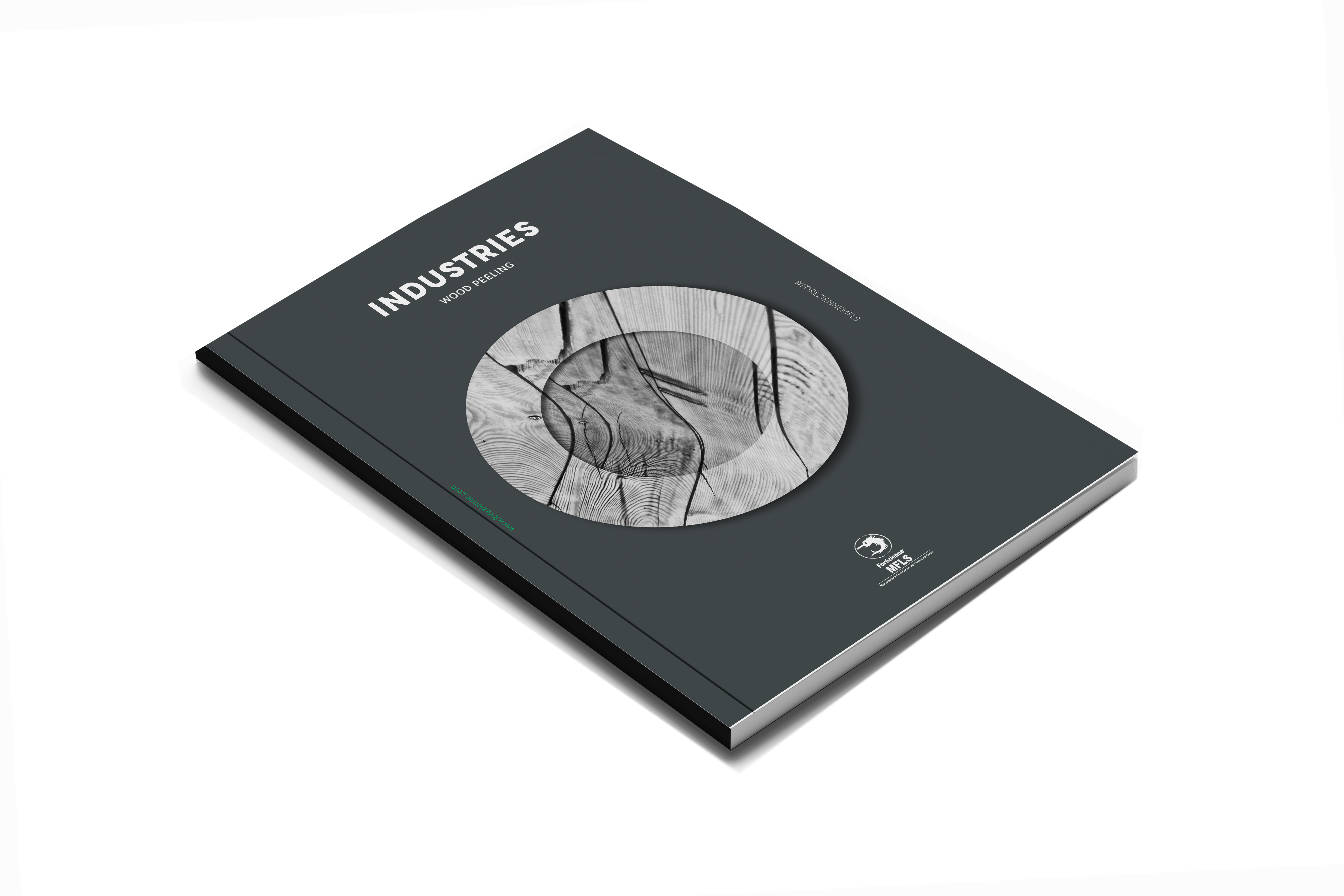 Forézienne MFLS trade catalogue dedicated to industrial irons, with a dark cover featuring a metal cutting tool.
